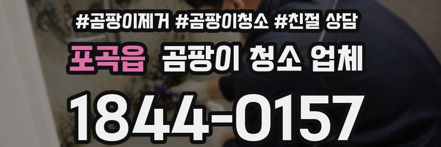 포곡읍 곰팡이 청소 업체