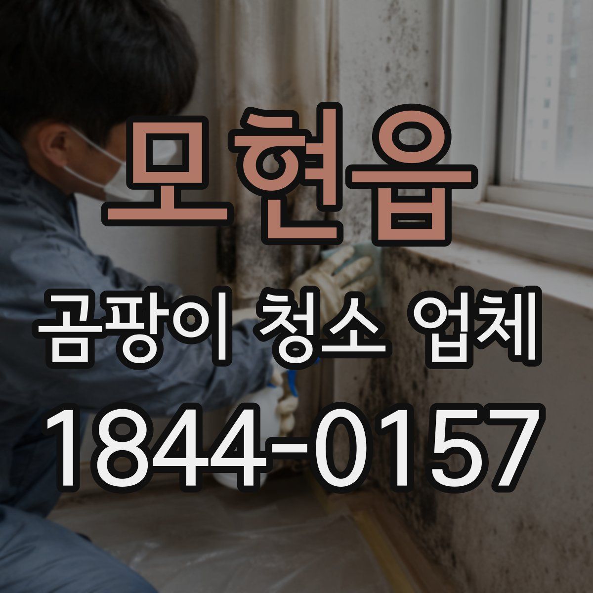 모현읍 곰팡이 청소 업체