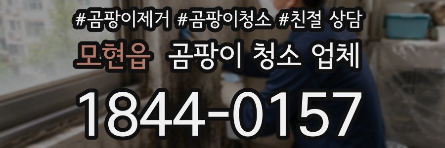 모현읍 곰팡이 청소 업체