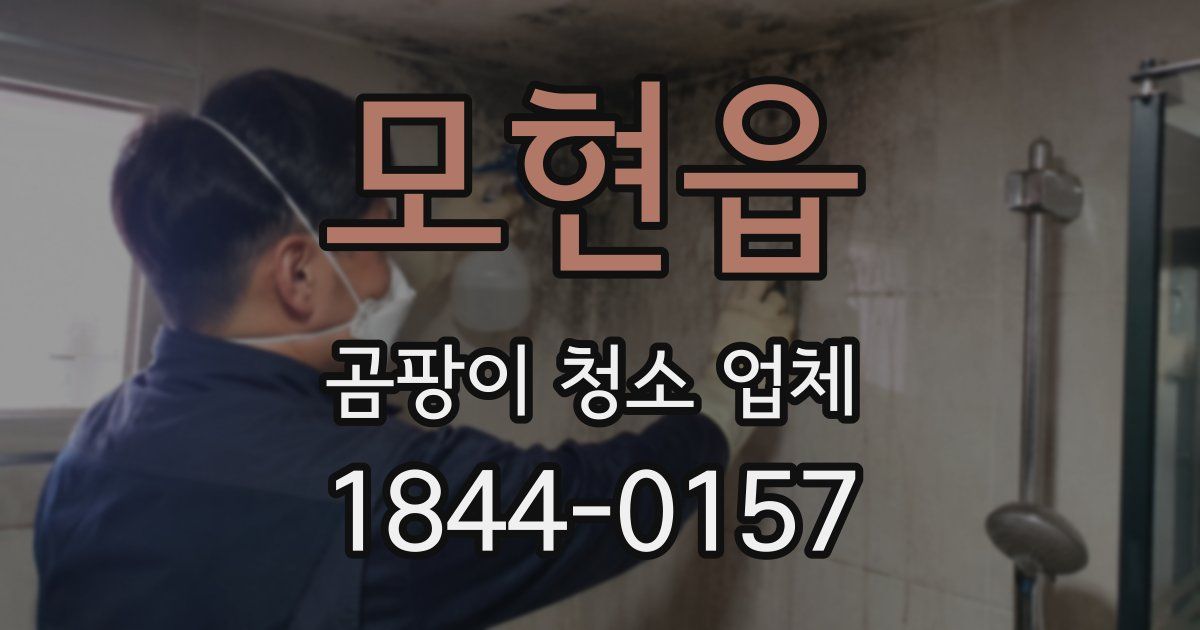 모현읍 곰팡이 청소 업체