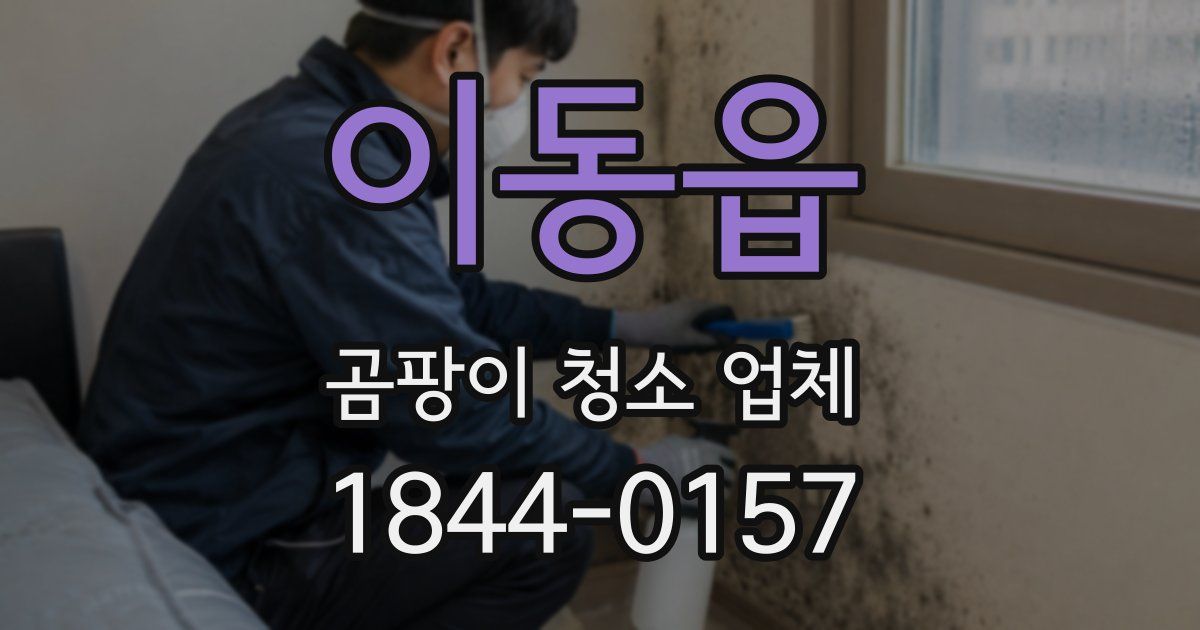 이동읍 곰팡이 청소 업체