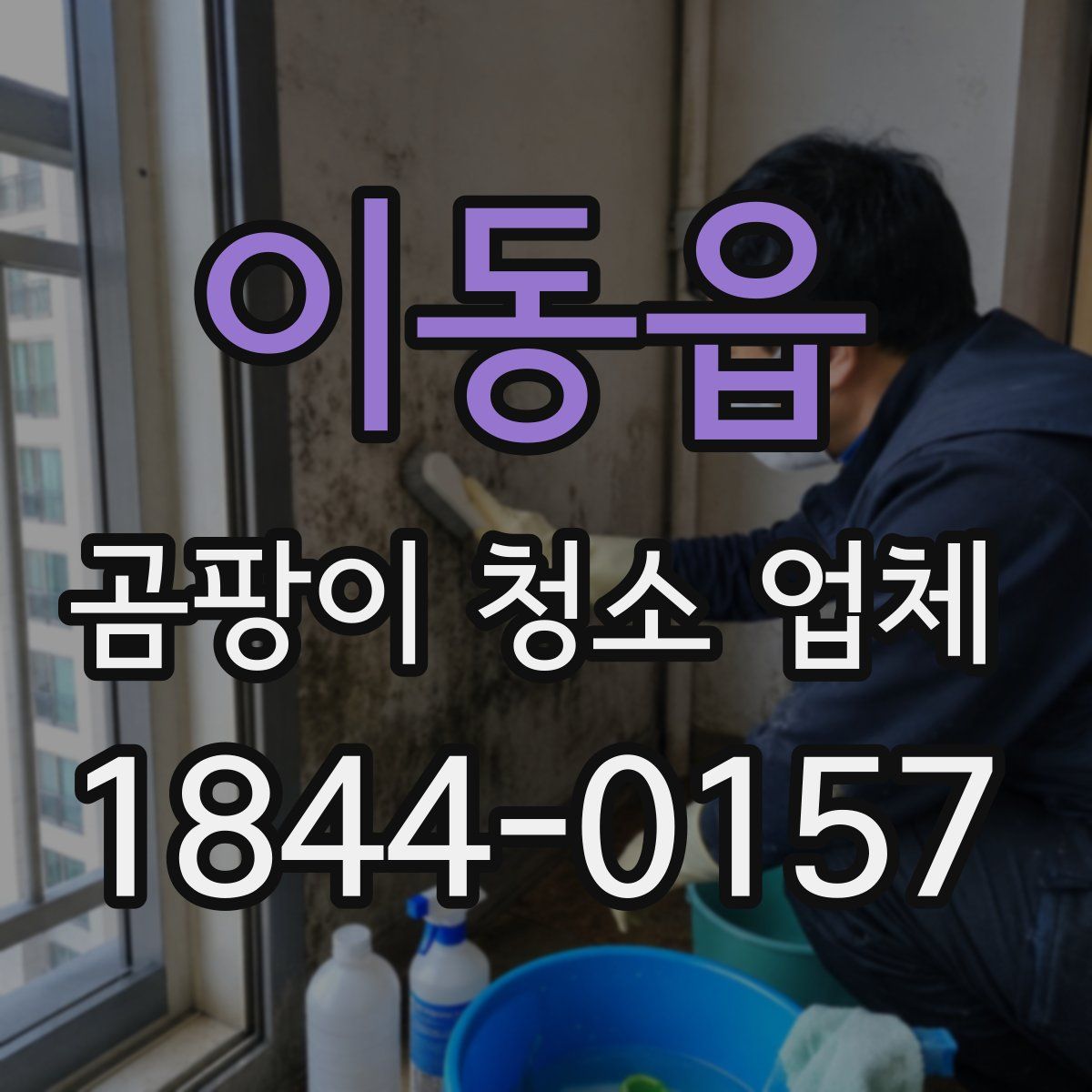 이동읍 곰팡이 청소 업체