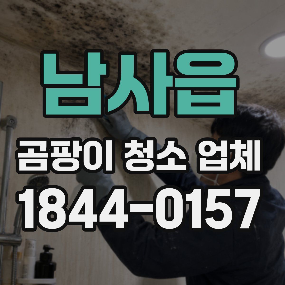 남사읍 곰팡이 청소 업체