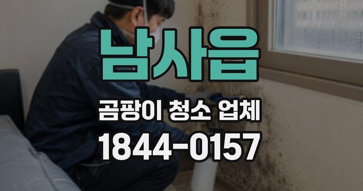 남사읍 곰팡이 청소 업체