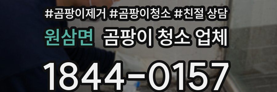 원삼면 곰팡이 청소 업체