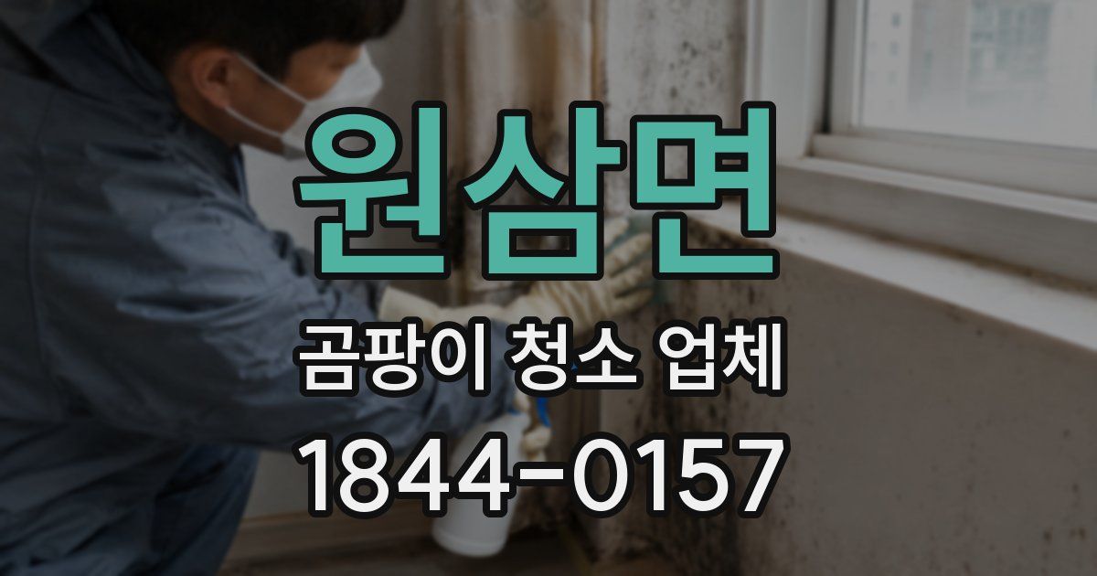 원삼면 곰팡이 청소 업체