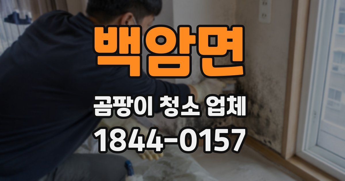 백암면 곰팡이 청소 업체