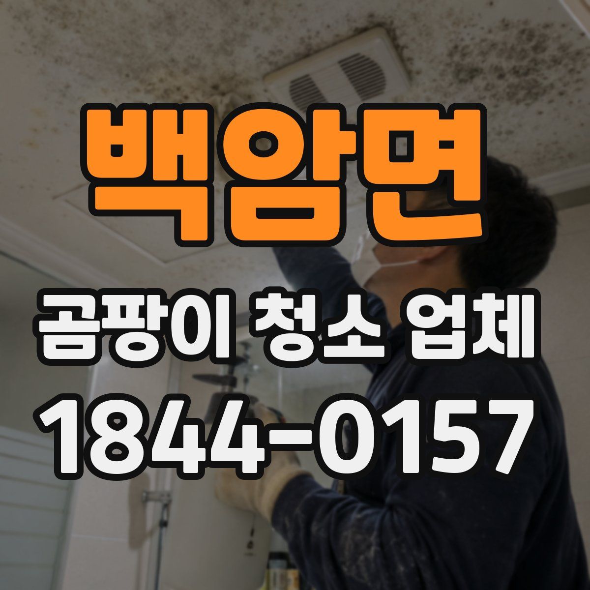 백암면 곰팡이 청소 업체