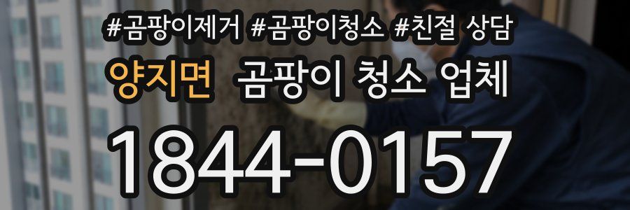 양지면 곰팡이 청소 업체