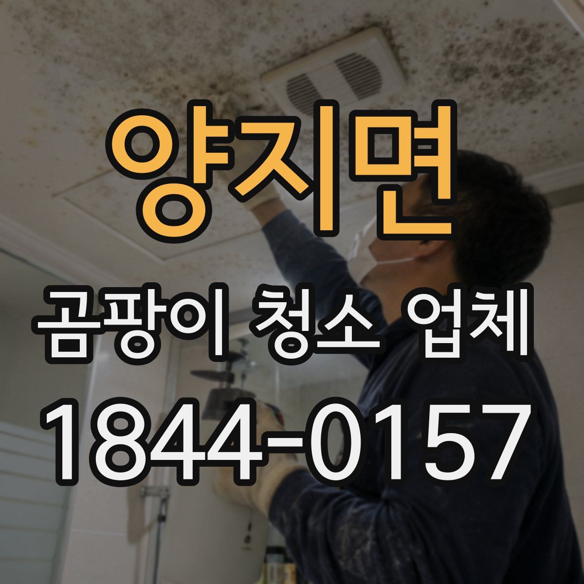양지면 곰팡이 청소 업체