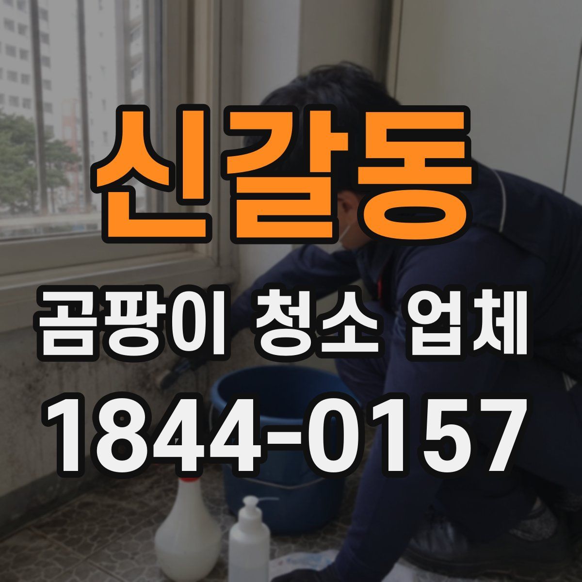 신갈동 곰팡이 청소 업체