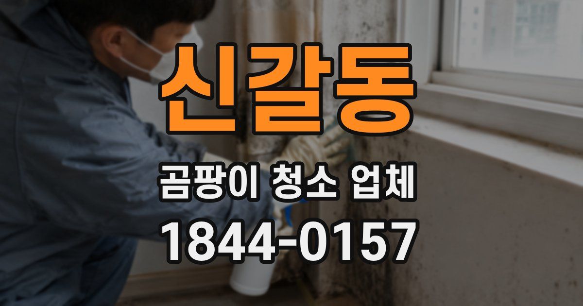 신갈동 곰팡이 청소 업체