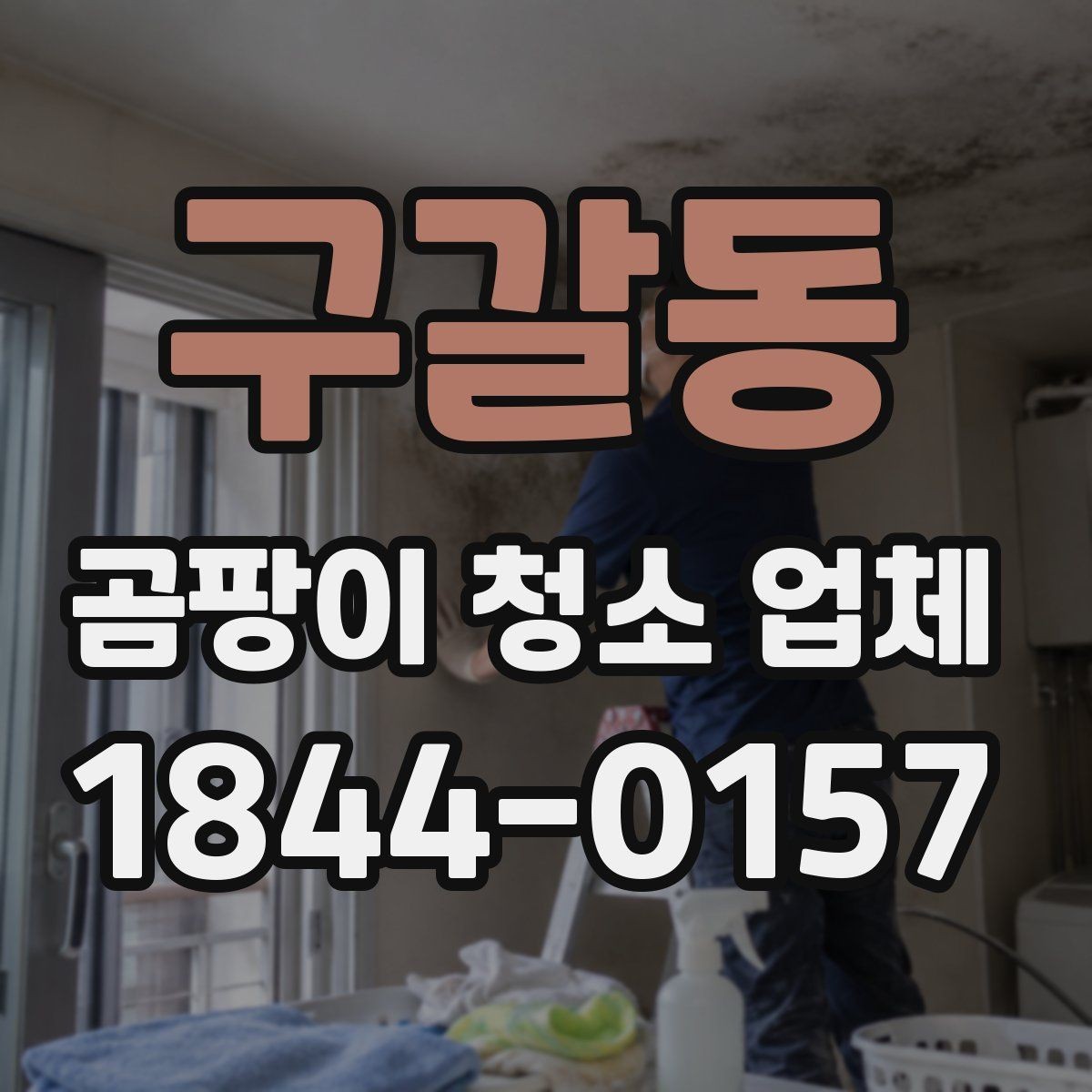 구갈동 곰팡이 청소 업체 가격 확인 시 유의할 문구