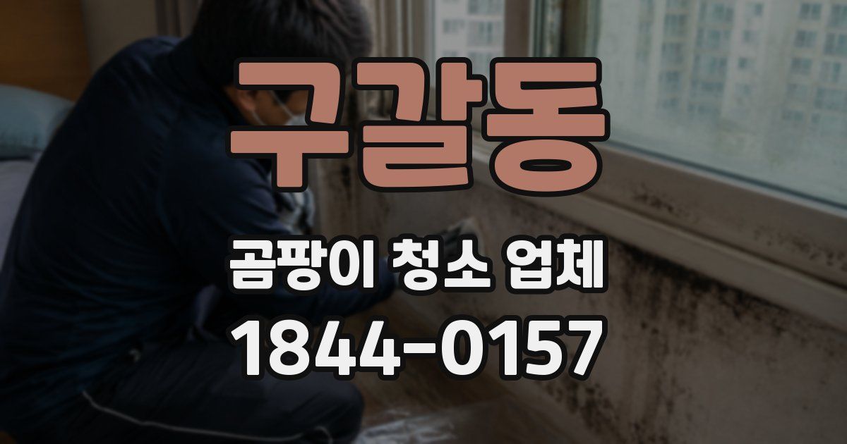 구갈동 곰팡이 청소 업체