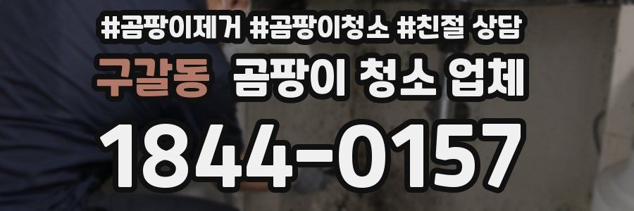 구갈동 곰팡이 청소 업체
