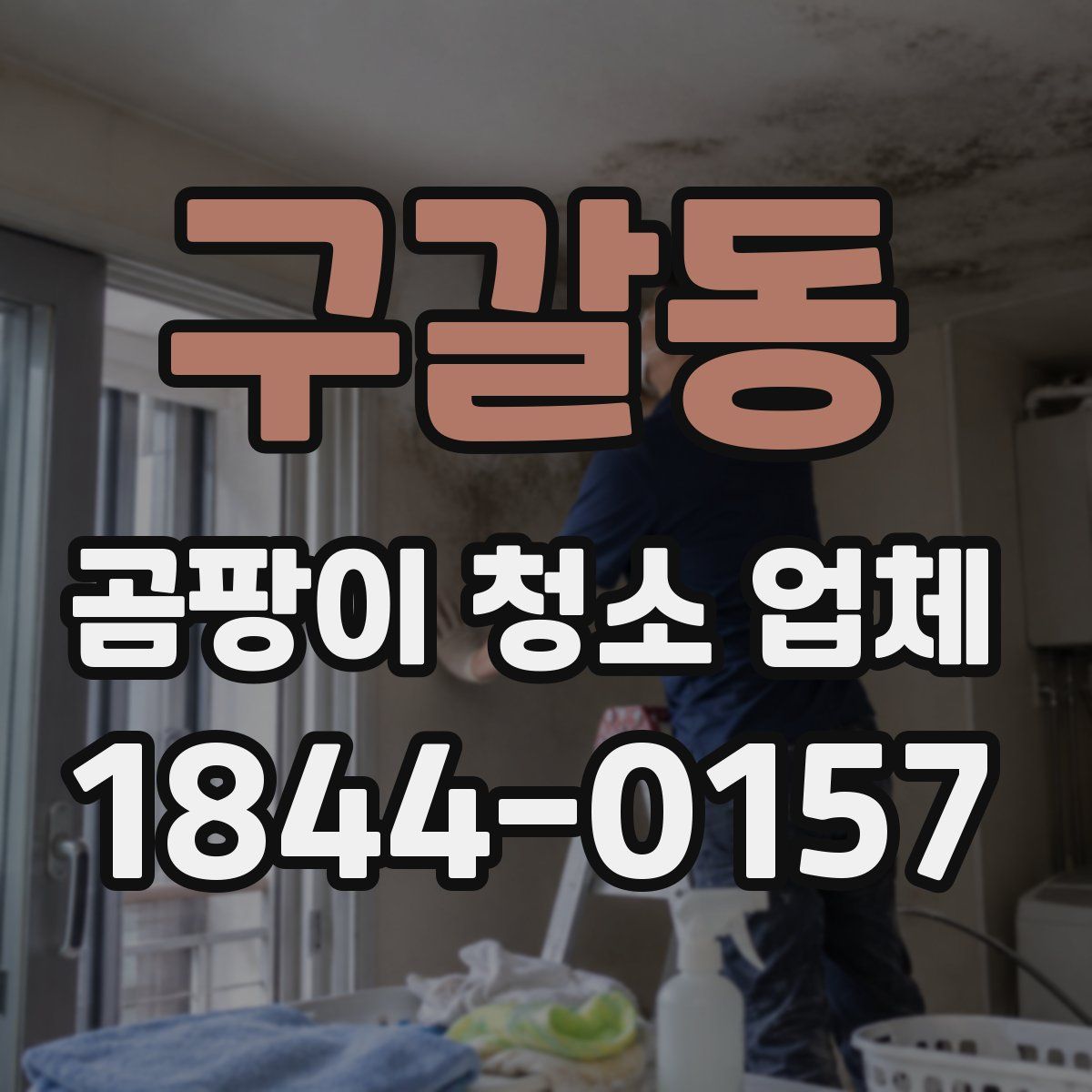구갈동 곰팡이 청소 업체