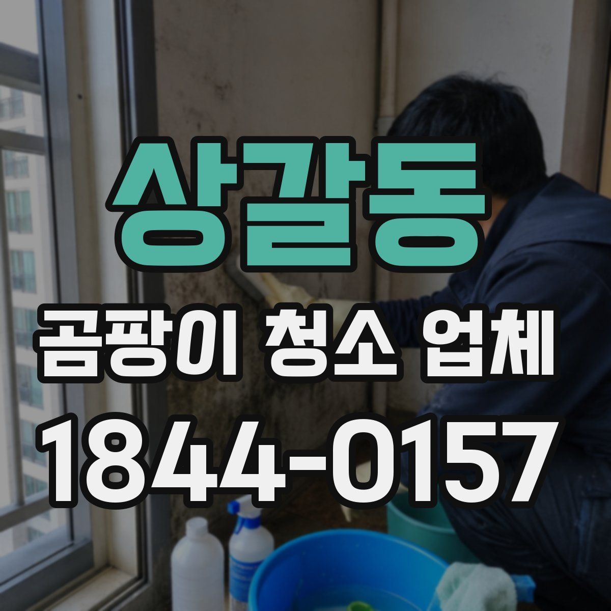 상갈동 곰팡이 청소 업체