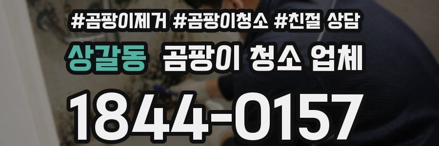 상갈동 곰팡이 청소 업체