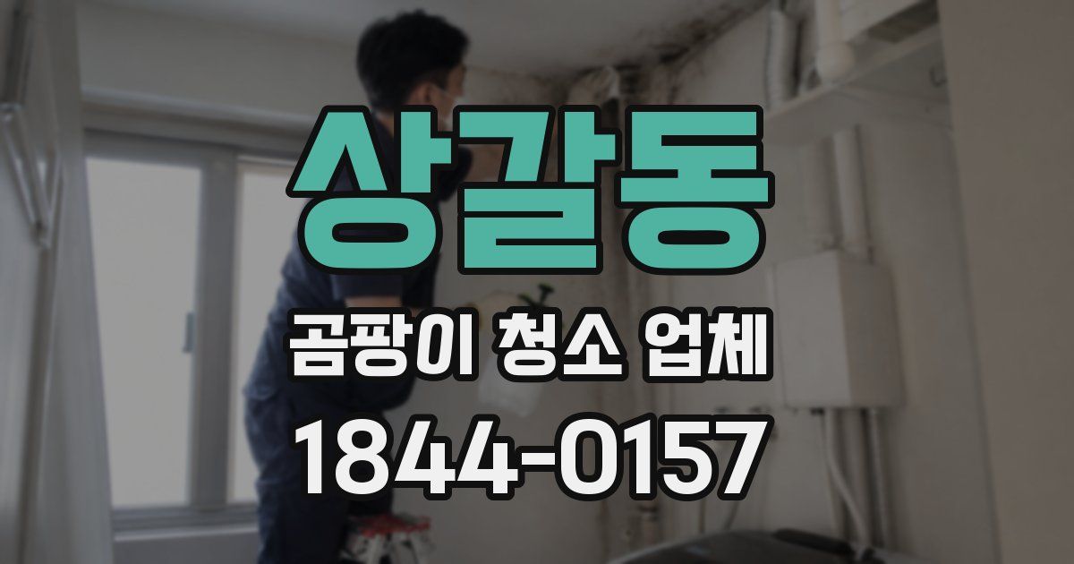 상갈동 곰팡이 청소 업체