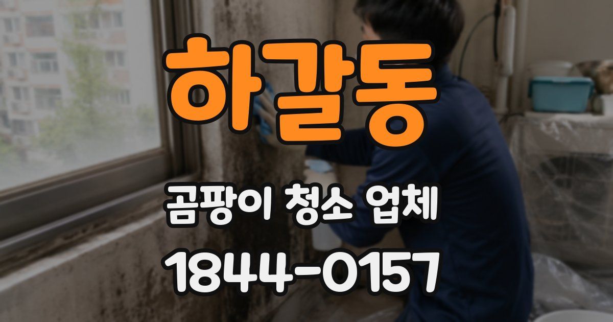 하갈동 곰팡이 청소 업체