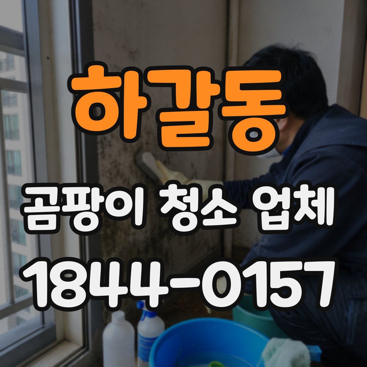 하갈동 곰팡이 청소 업체