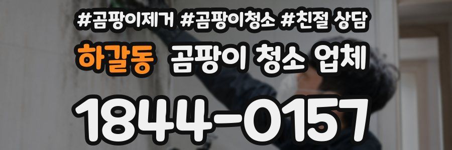 하갈동 곰팡이 청소 업체