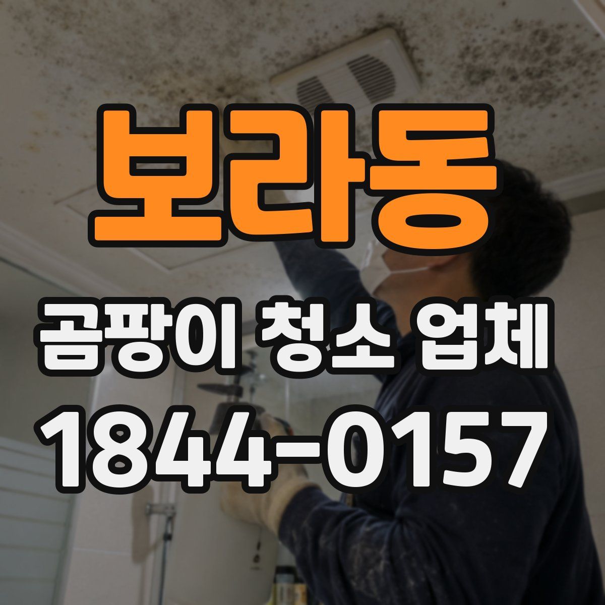 보라동 곰팡이 청소 업체