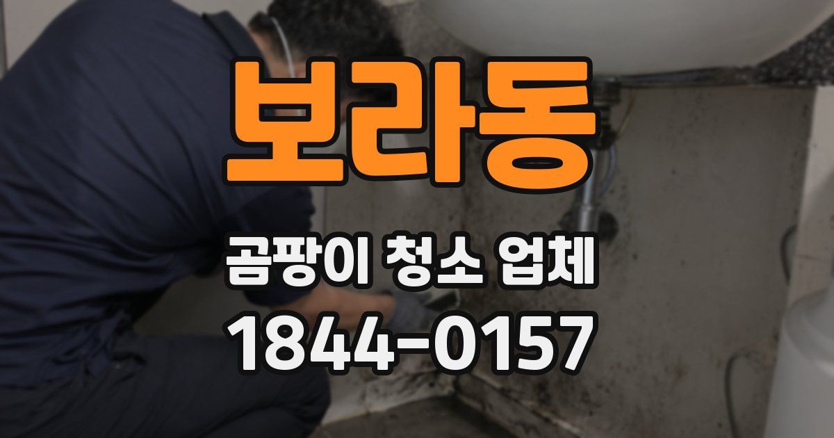 보라동 곰팡이 청소 업체
