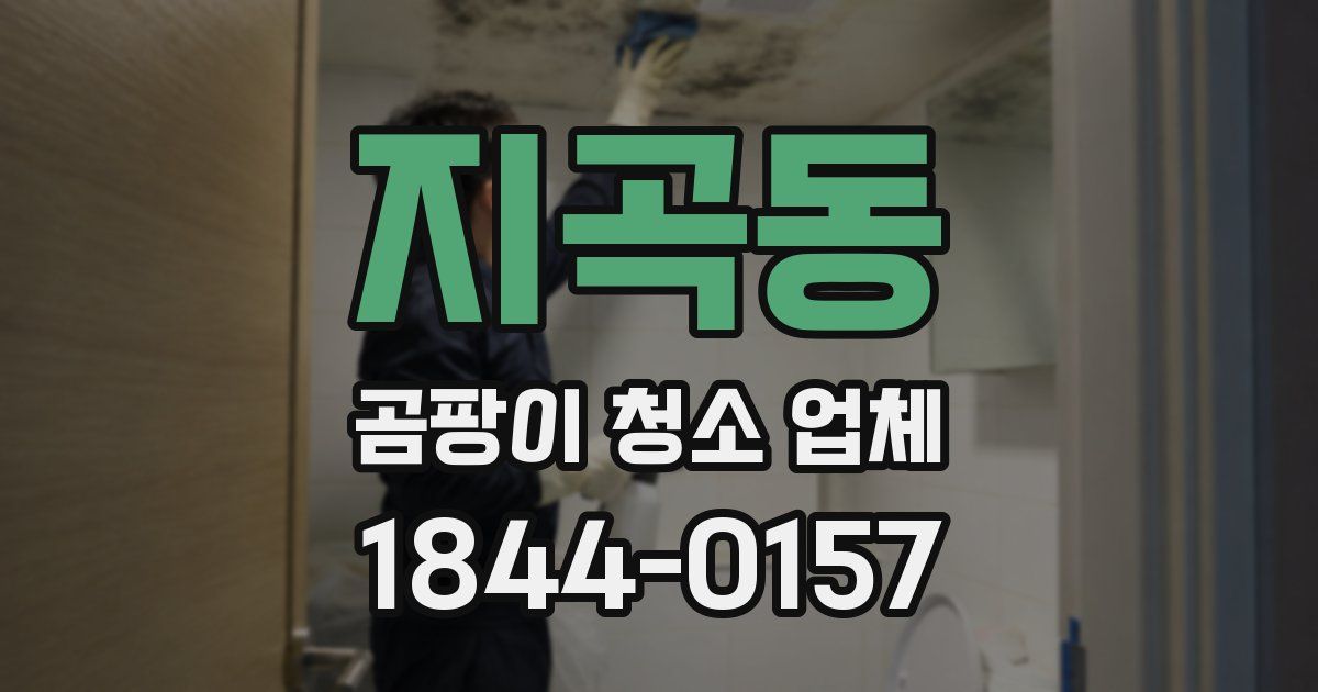 지곡동 곰팡이 청소 업체