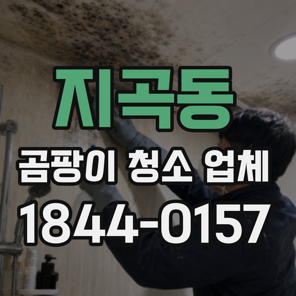 지곡동 곰팡이 청소 업체