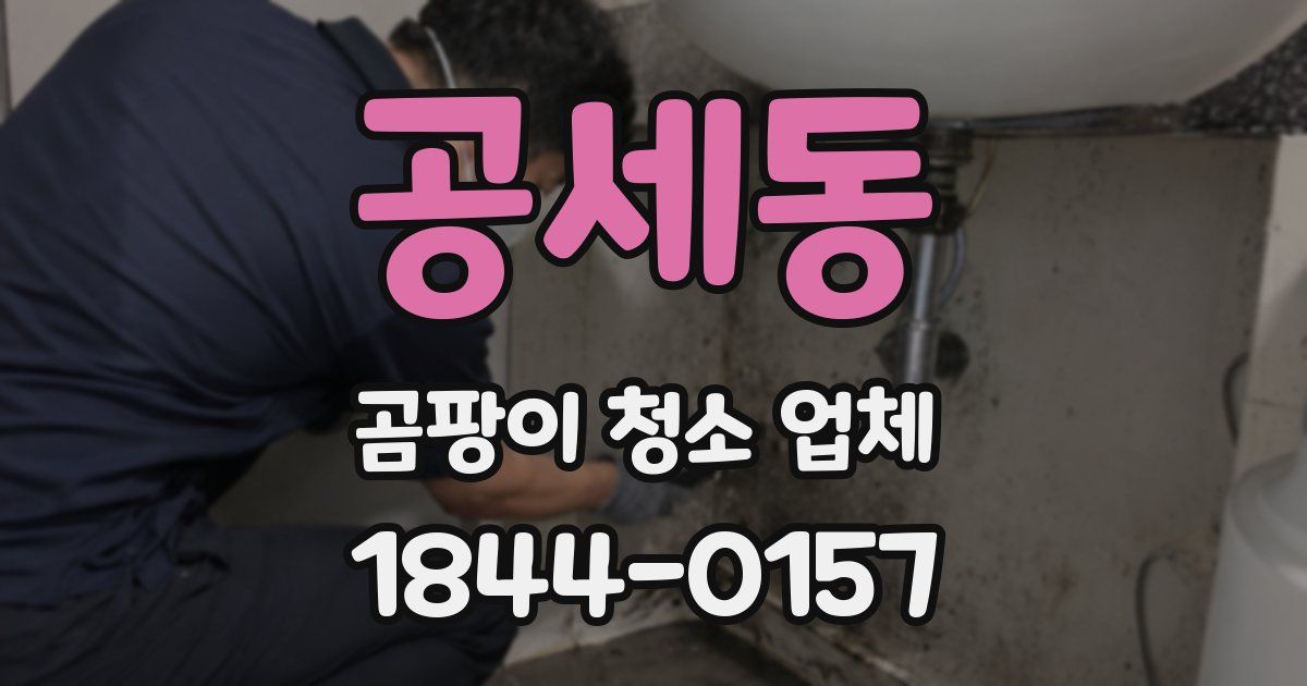 공세동 곰팡이 청소 업체