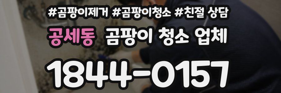 공세동 곰팡이 청소 업체