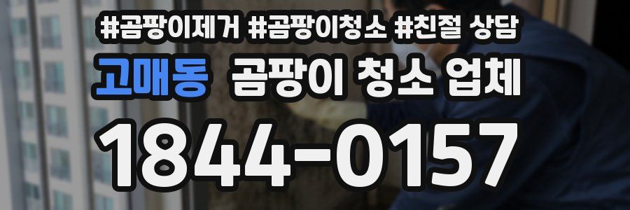 고매동 곰팡이 청소 업체
