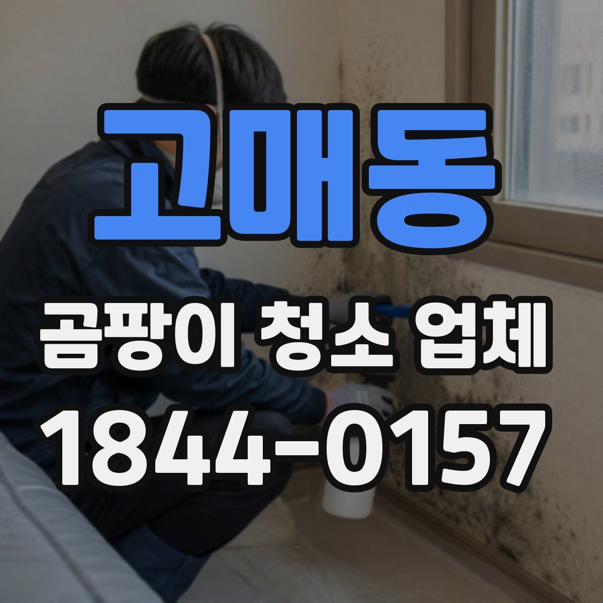 고매동 곰팡이 청소 업체