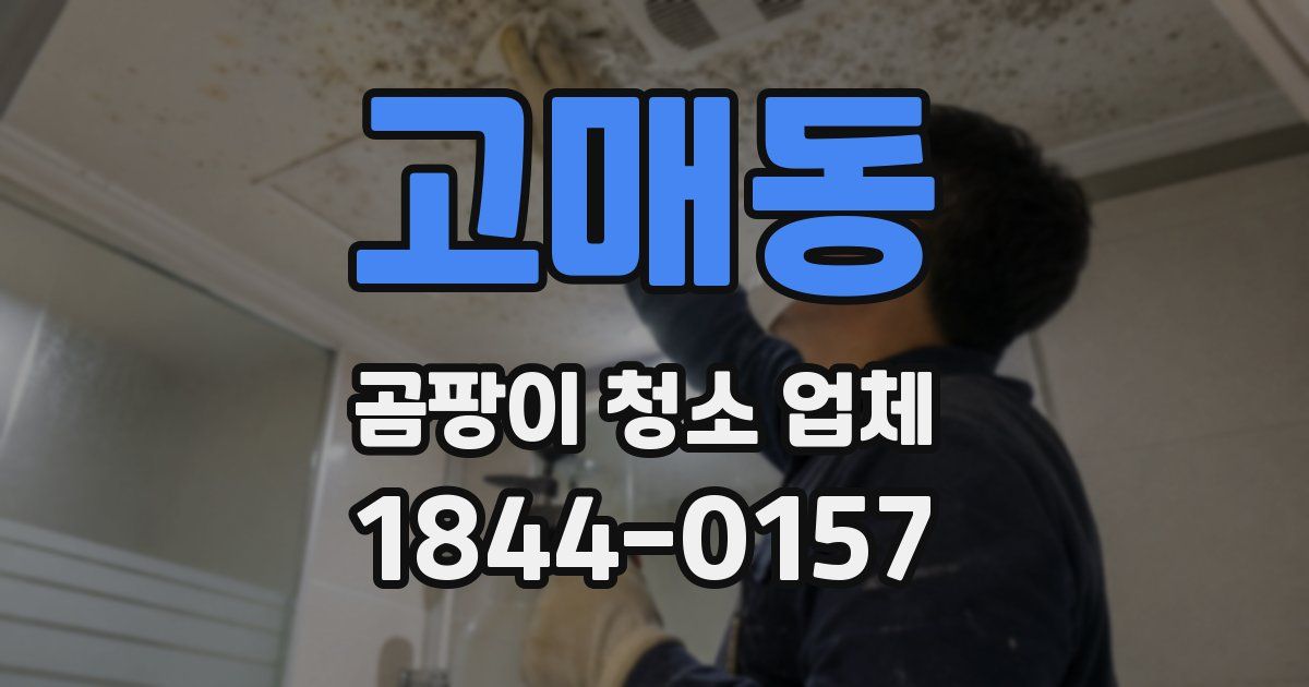 고매동 곰팡이 청소 업체