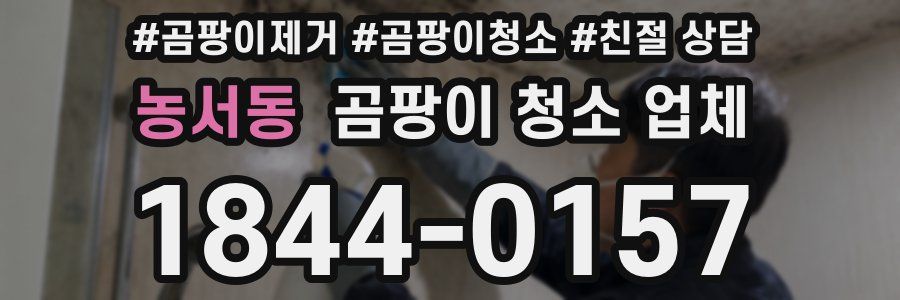 농서동 곰팡이 청소 업체