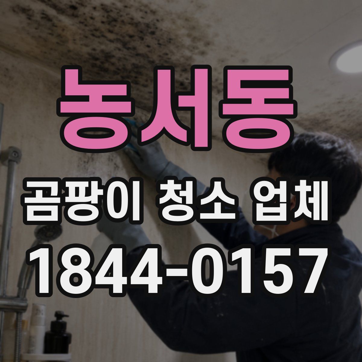 농서동 곰팡이 청소 업체