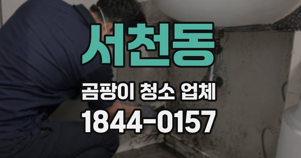 서천동 곰팡이 청소 업체