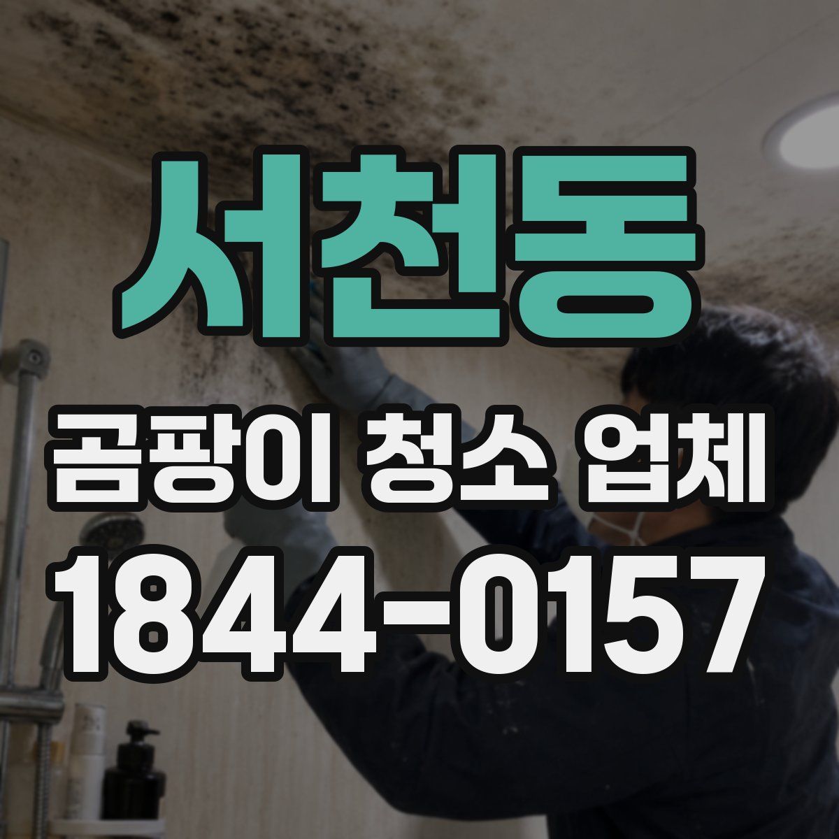서천동 곰팡이 청소 업체