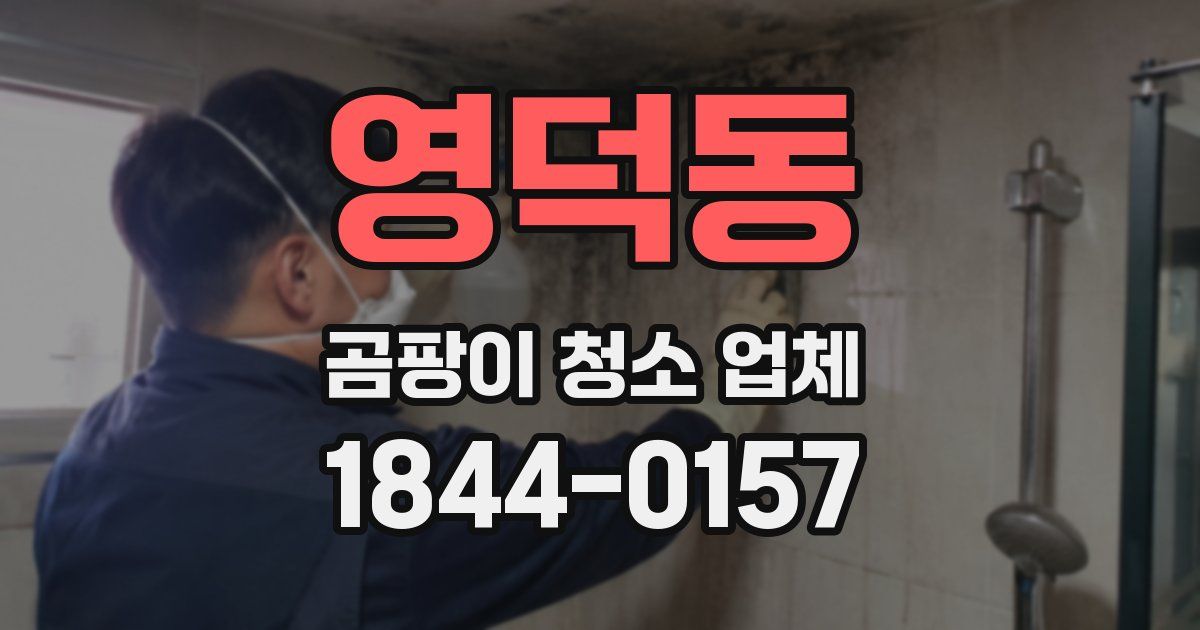 영덕동 곰팡이 청소 업체