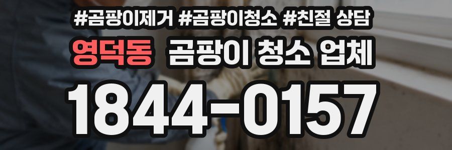 영덕동 곰팡이 청소 업체