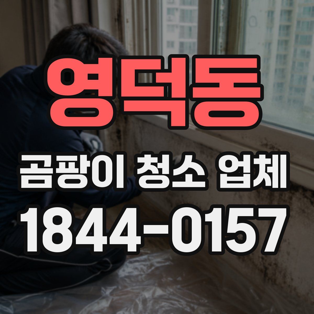 영덕동 곰팡이 청소 업체