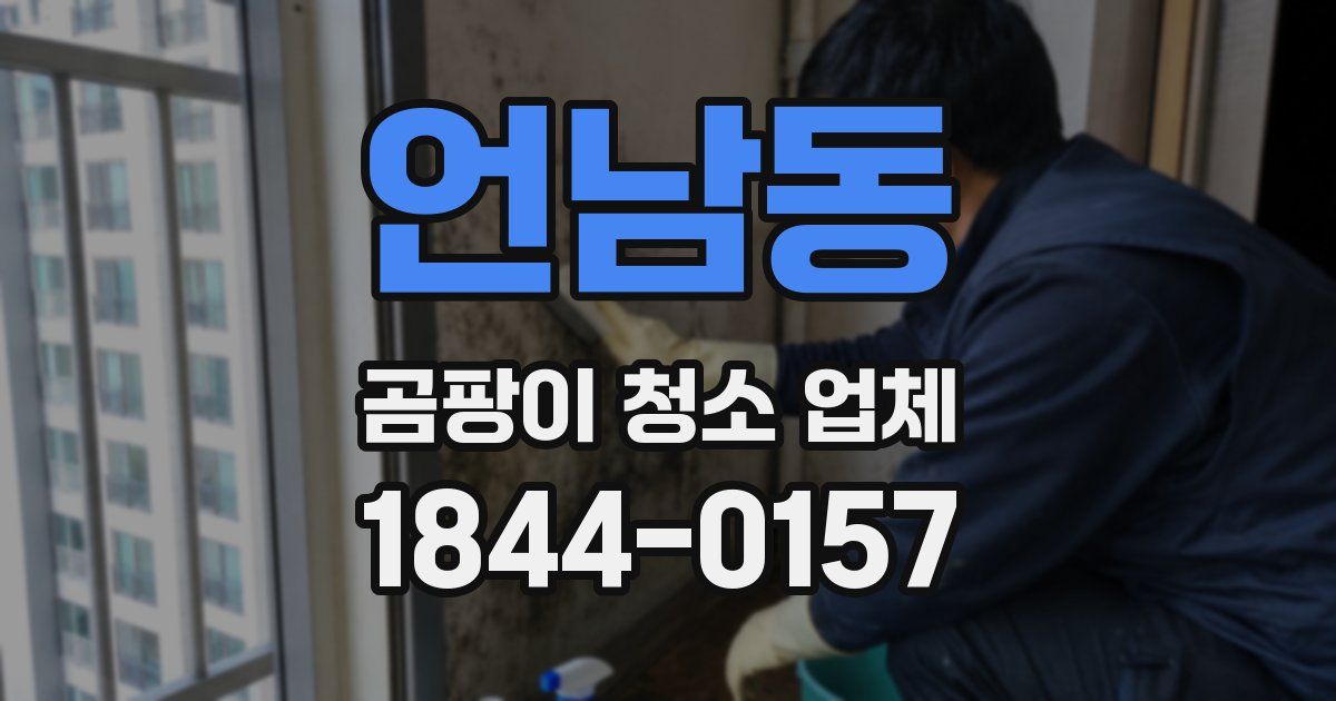 언남동 곰팡이 청소 업체