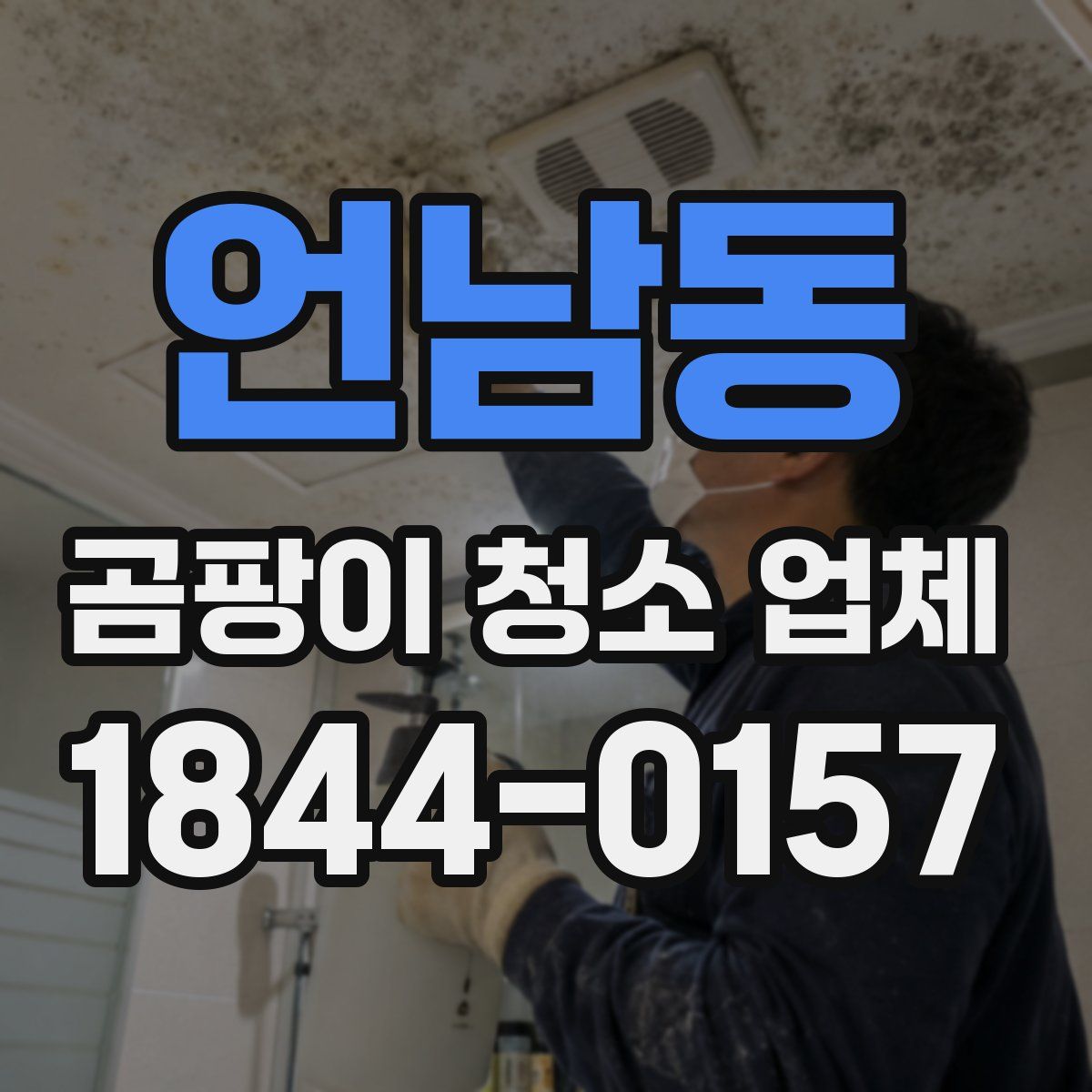 언남동 곰팡이 청소 업체