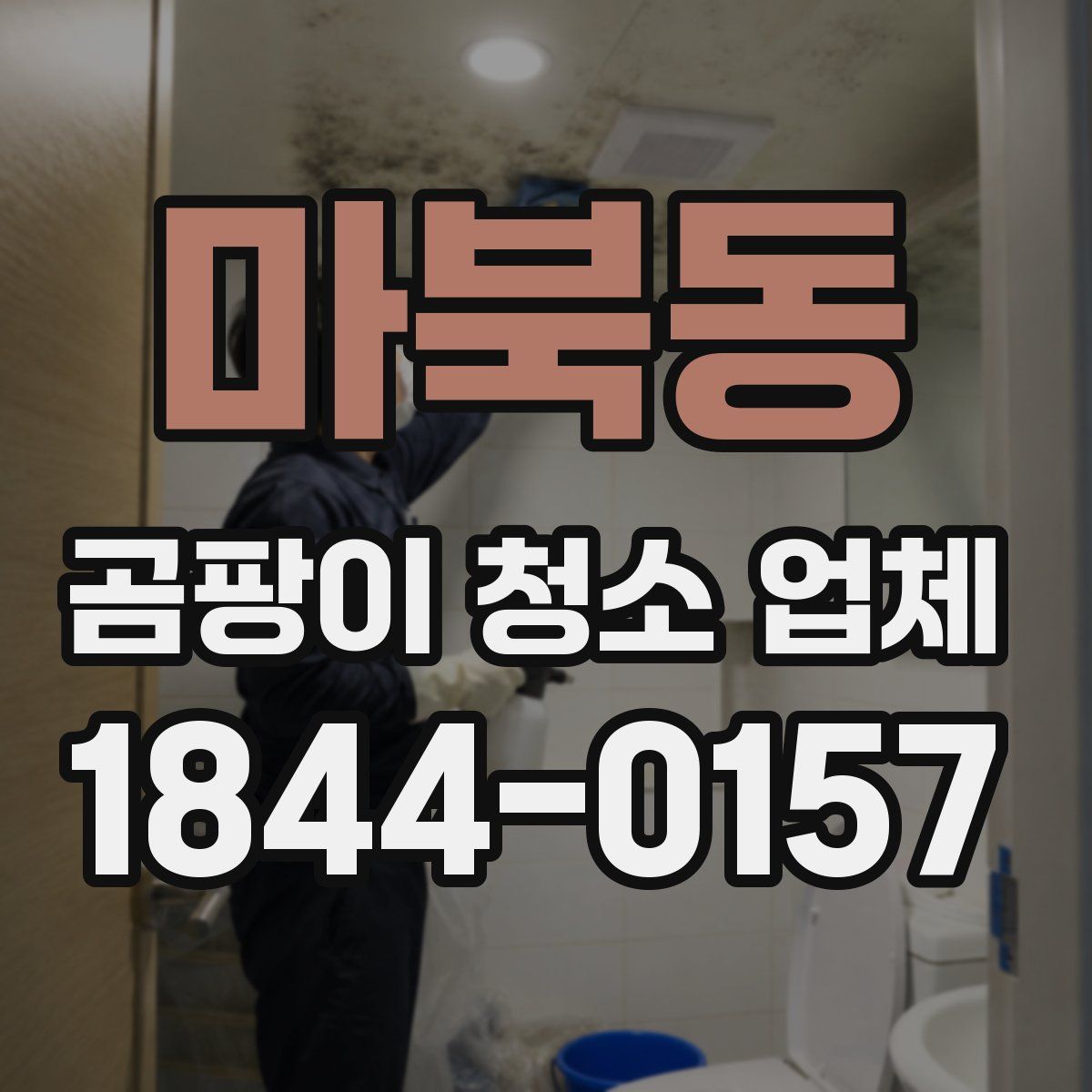 마북동 곰팡이 청소 업체