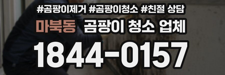 마북동 곰팡이 청소 업체