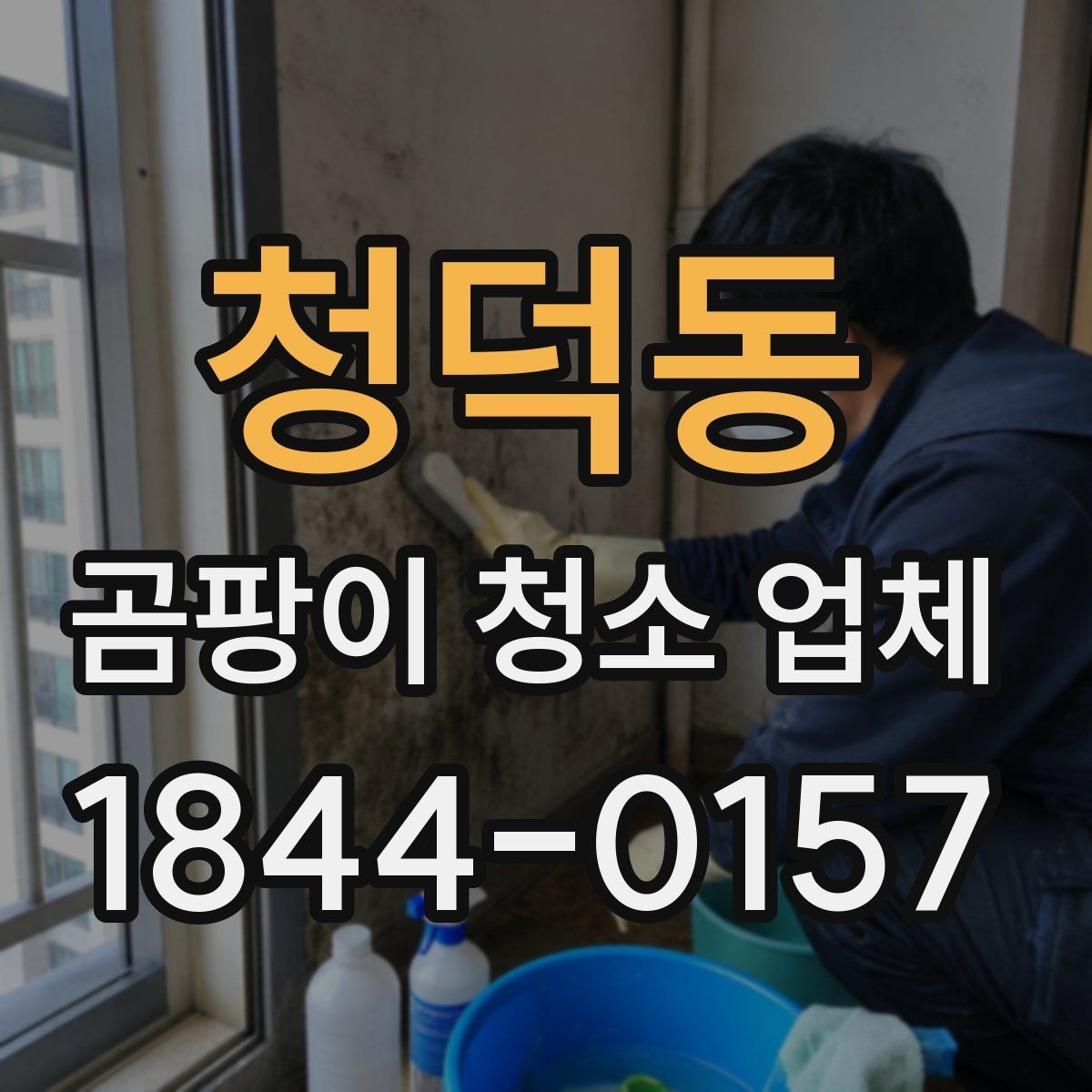 청덕동 곰팡이 청소 업체 작업 범위에 포함되는 항목