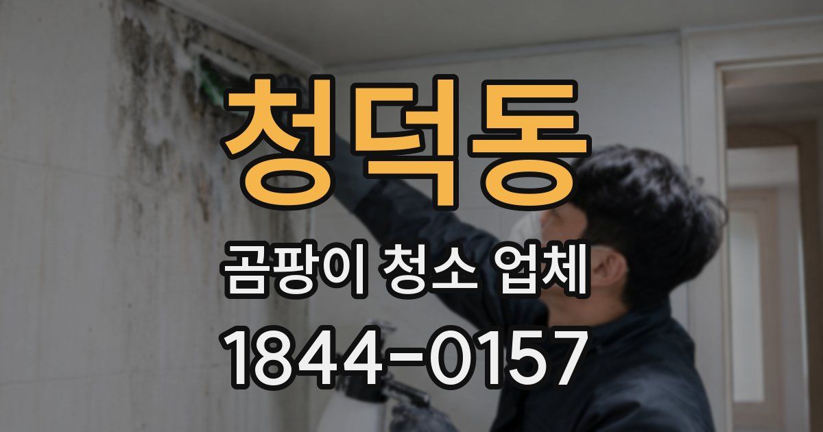 청덕동 곰팡이 청소 업체