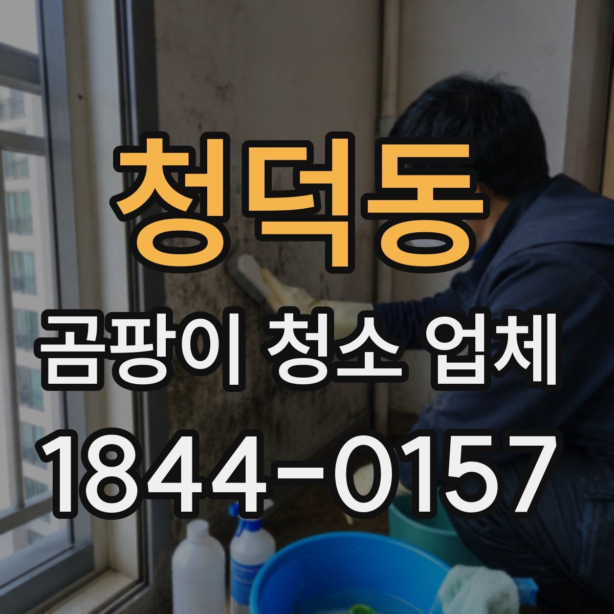 청덕동 곰팡이 청소 업체