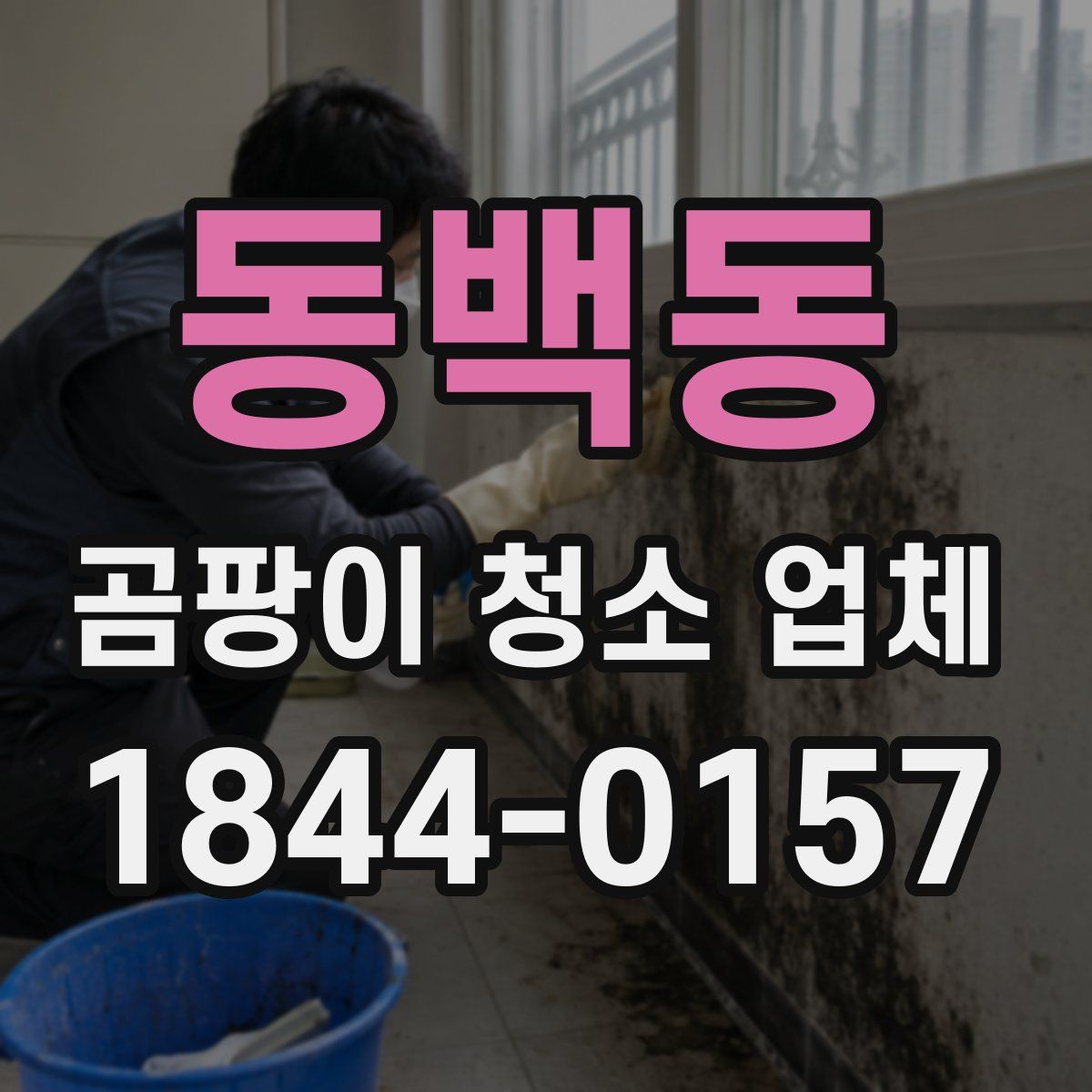 동백동 곰팡이 청소 업체